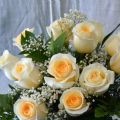 docena de rosas blancas extras de tallo corto
excepto en San Valentin