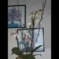 arreglo de plantas de orquideas(phalaenopsis) en copa de cristal decorada con ramas de salix,piedras de marmol de colores.